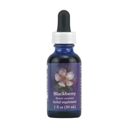 Blackberry Herbal Supplement Dropper By Flower Essence - 1 Oz